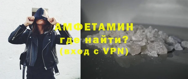 гашик Инта