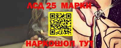гашик Жуковский