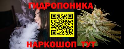 гашик Жуковский
