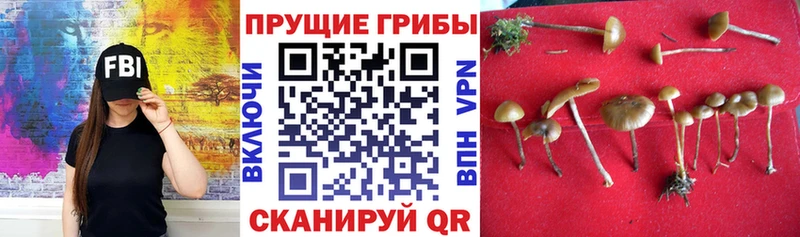 Галлюциногенные грибы MAGIC MUSHROOMS  Советский 