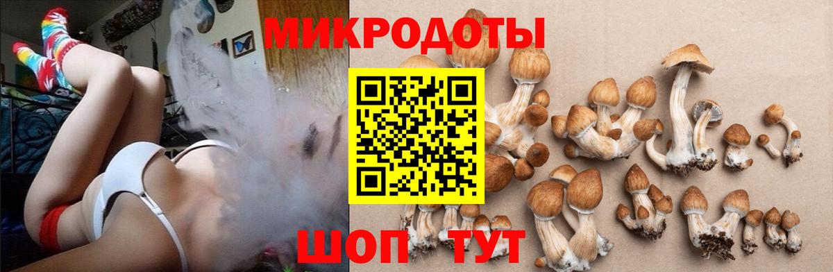 наркошоп  Псилоцибиновые грибы Psilocybe  Вход с VPN  Советский  Галлюциногенные грибы Psilocybine cubensis 