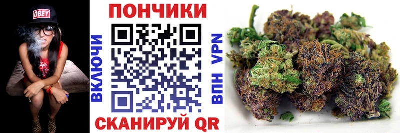 закладки  Советский  Бошки марихуана Ganja 